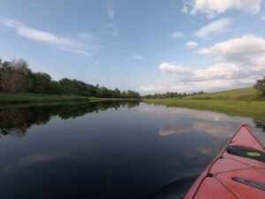 Read more about the article Peaceful Toney River Paddle