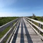 Melmerby Beach Provincial Park Walking Tour