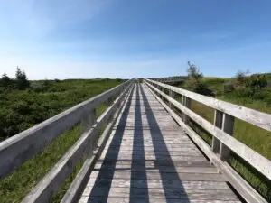 Read more about the article Melmerby Beach Provincial Park Walking Tour