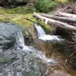 Quick Mckay Brook Falls Trip