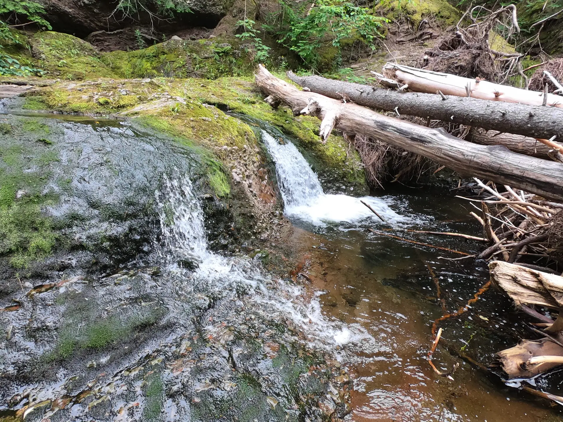 Read more about the article Quick Mckay Brook Falls Trip