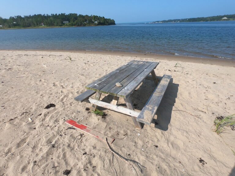 Lighthouse Beach Picnic Table