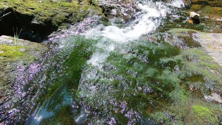 Beautiful Pictou County Waterfalls